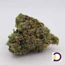 UBC Chemo - 1g